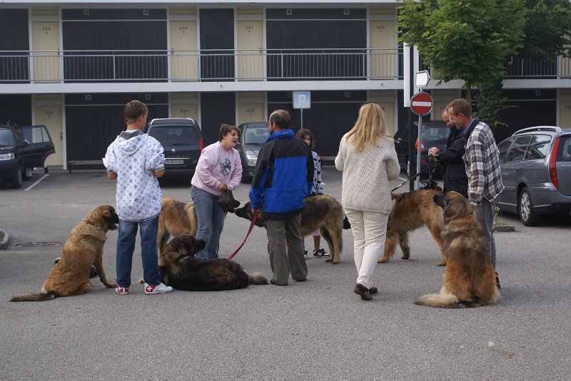 Nachzuchttreffen 08_08 014.jpg - Treffen auf dem Parkplatz